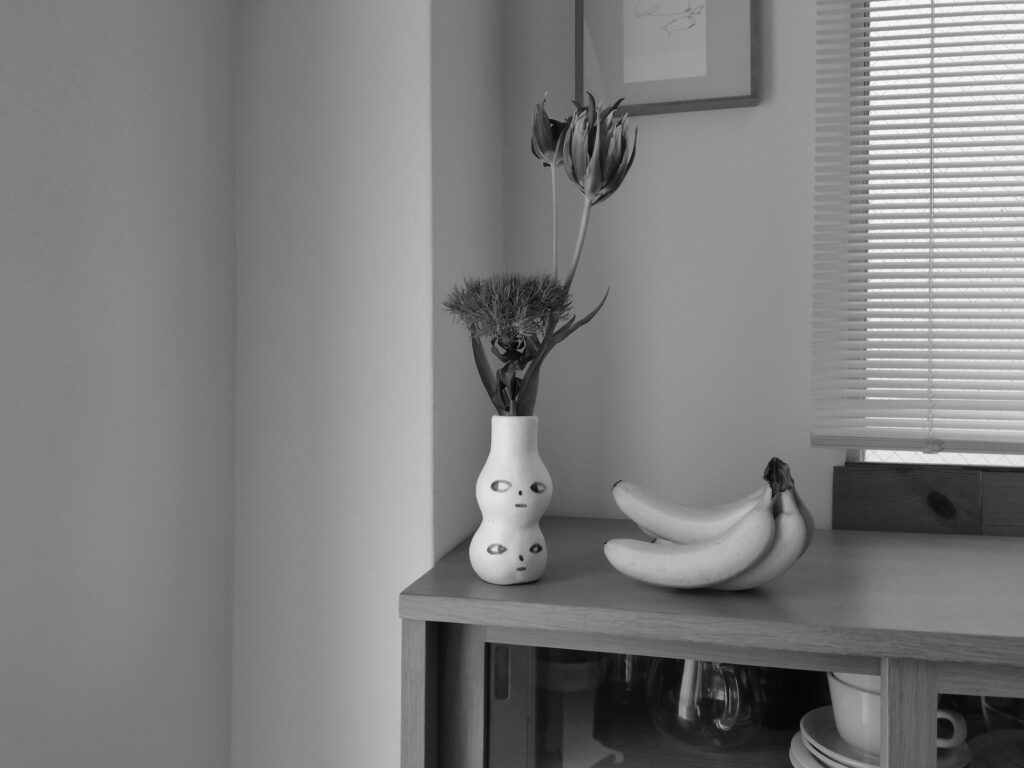 KODAK PIXPRO C1白黒フィルター
