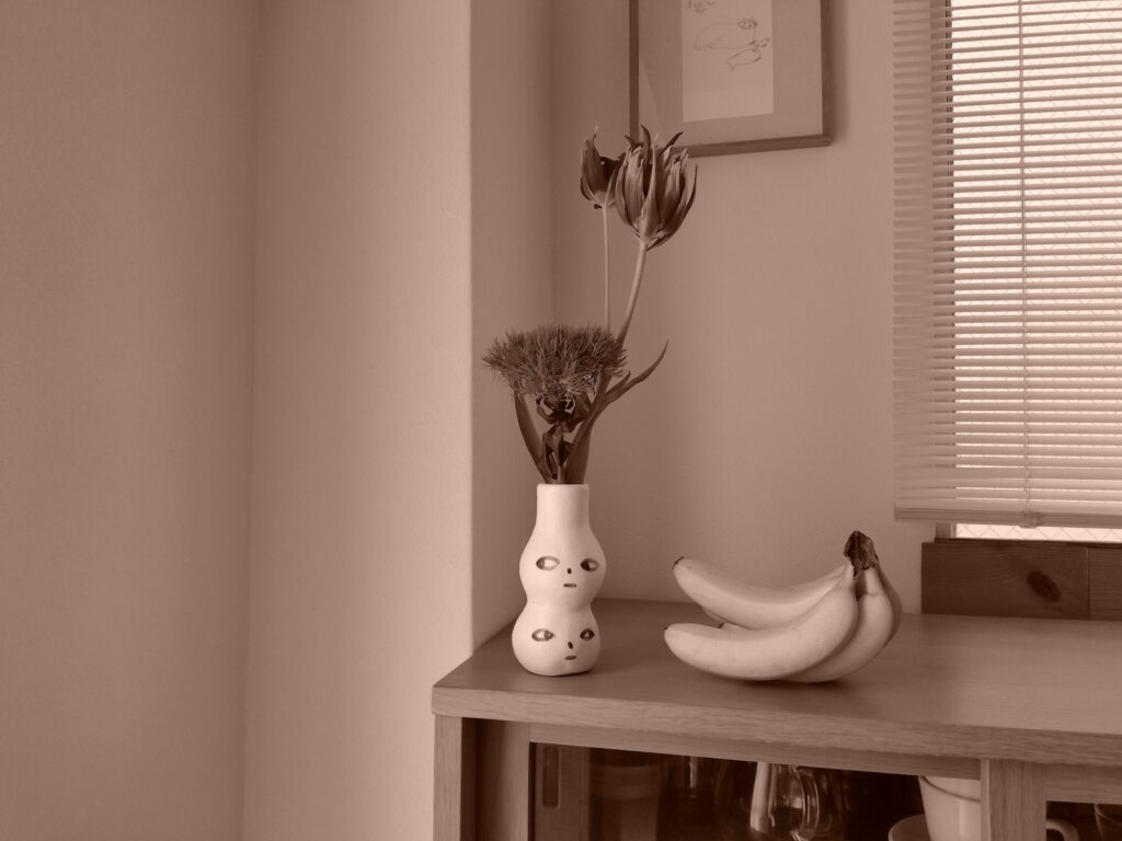 KODAK PIXPRO C1セピア色フィルター