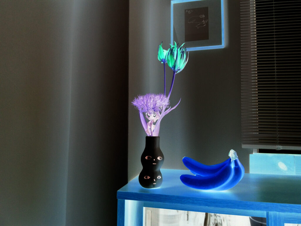 KODAK PIXPRO C1ネガフィルター