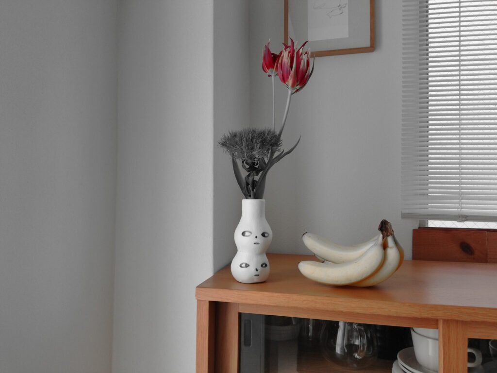 KODAK PIXPRO C1モノクロ赤フィルター