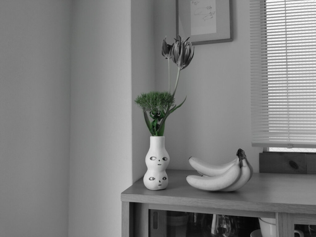 KODAK PIXPRO C1モノクロ緑フィルター