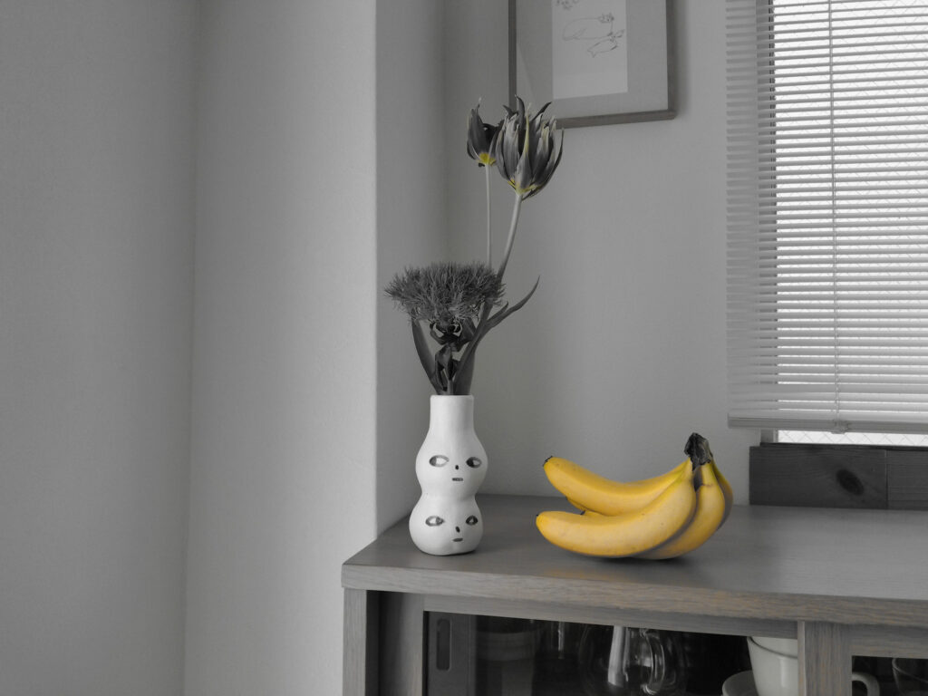 KODAK PIXPRO C1モノクロ黄フィルター