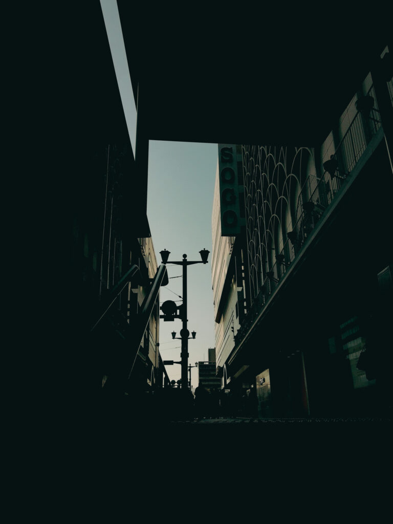 KODAK PIXPRO C1作例②