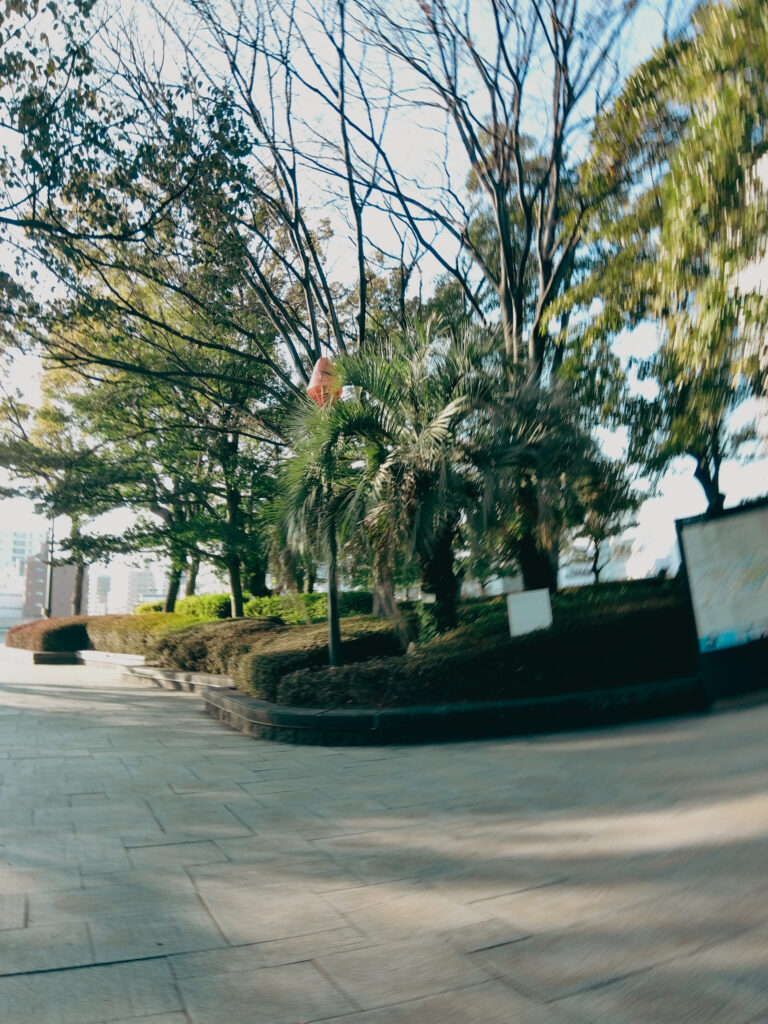 KODAK PIXPRO C1作例⑩